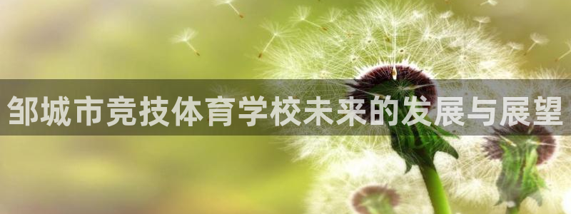 中欧大学：邹城市竞技体育学校未来的发展与展望