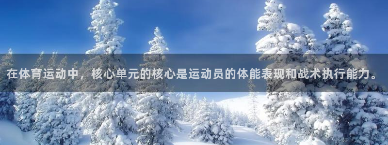 中欧班列的起点和终点：在体育运动中，核心单元的核心是运动员的体能表现和战术执行能力。