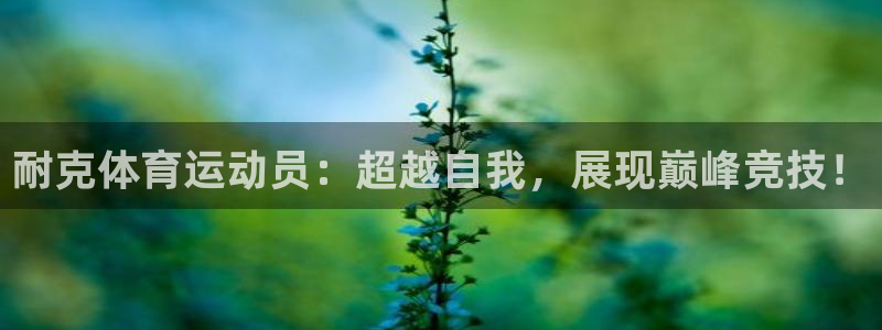中欧优质企业混合A016311：耐克体育运动员：超越自我，展现巅峰竞技！