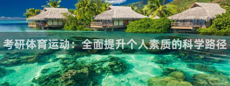 中欧风格：考研体育运动：全面提升个人素质的科学路径